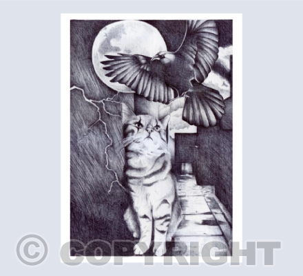 Can't Meow All the Time