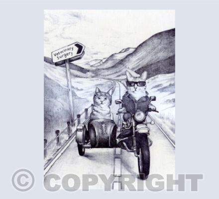 vet escape greeting card