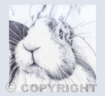 rabbit 1 art logo only