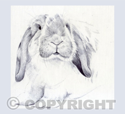 rabbit 2 art logo only