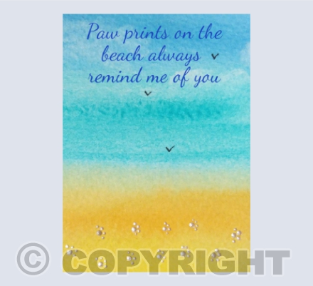 Paw prints on the beach II.