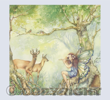 Fairy Music