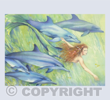 With Dolphins