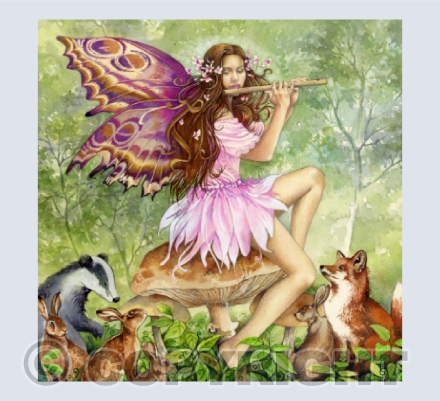 Music of the Fae