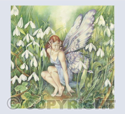 Snowdrops