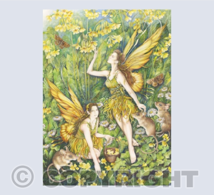 Cowslip Fairies