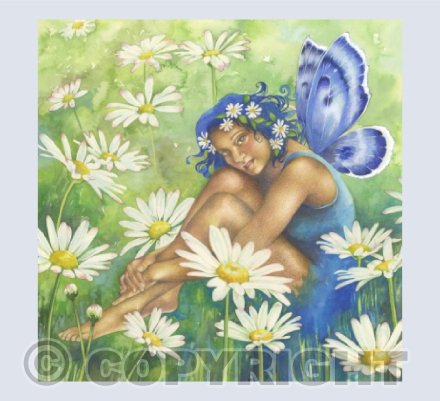 Summer Daisies