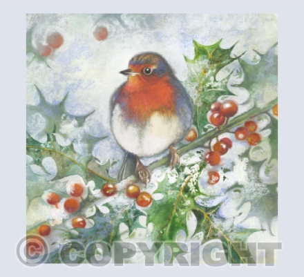 Snow Robin