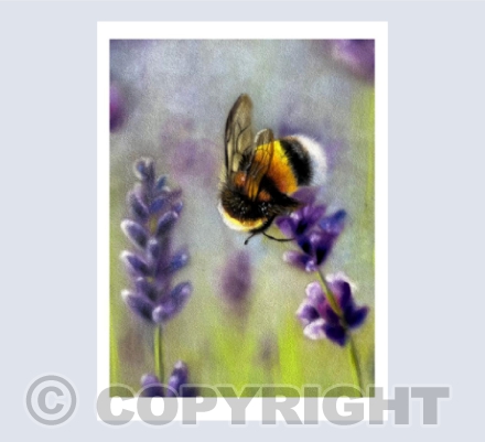 Bumble