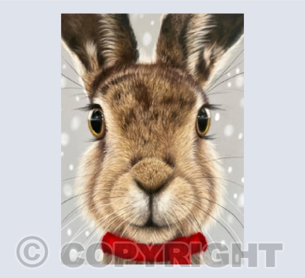 Hare Xmas Card