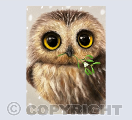 Owl Xmas Card