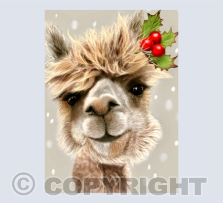 Alpaca Xmas Card