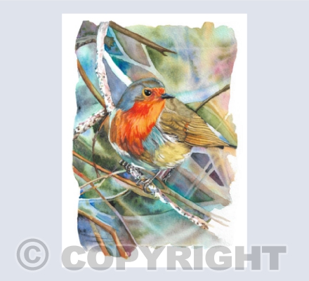 Robin greetings card