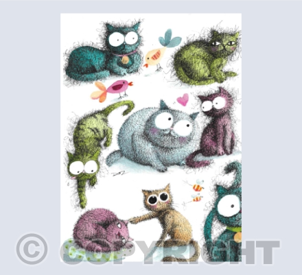 Mad cats at play