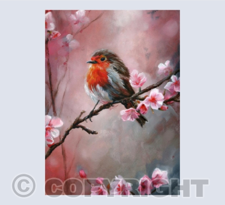 Robin in the blossom