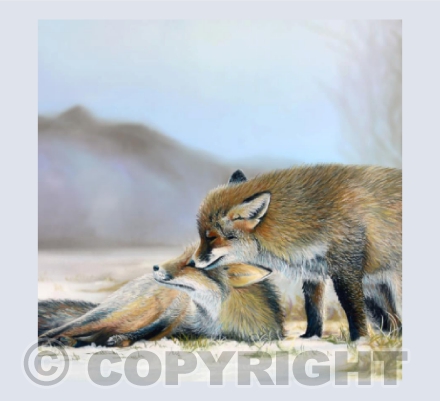 My Love - A Fox Pastel Painting