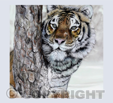 Playing In The Snow - A Tiger Pastel Painting