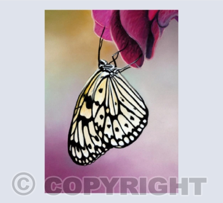 Butterflies 1 - Paper Kite in Pastel