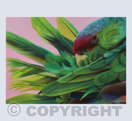 Belleza Verde - Lilac-Crowned Amazon Parrot Pastel Painting