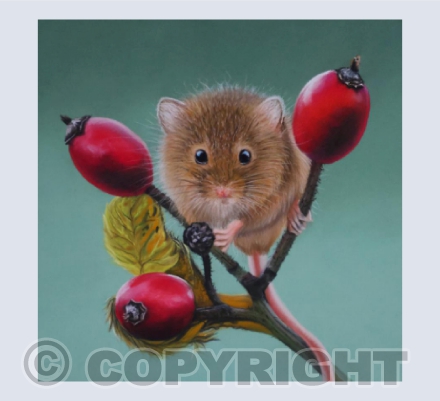 Harvest Treats - Harvest Mouse in Pastel
