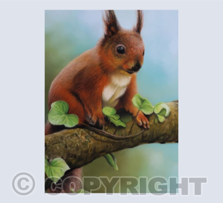 Gatherer - Red Squirrel in Soft Pastel