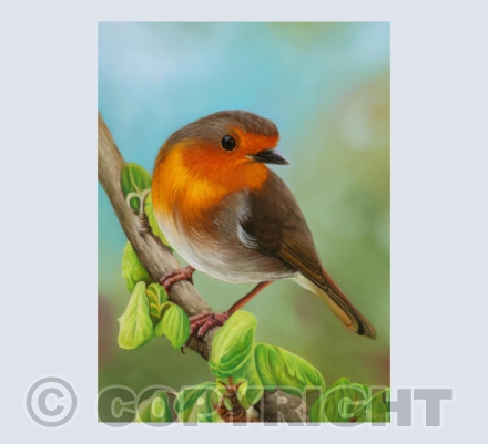 "Messenger" - Robin Pastel Painting