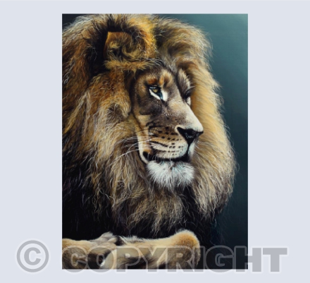 "Resilience" - African Lion Acrylic Painting