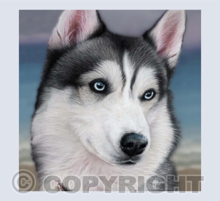 Husky Beach Painting