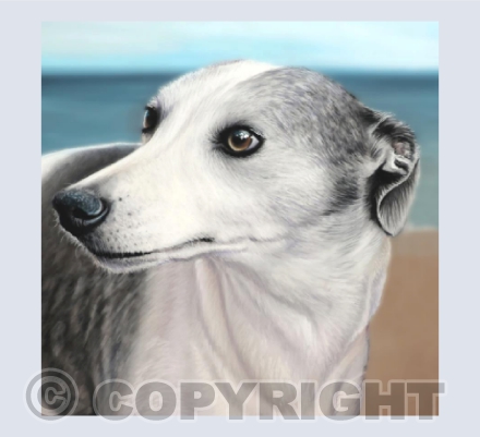 Whippet Card