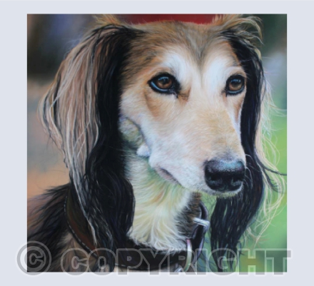 Saluki Painting