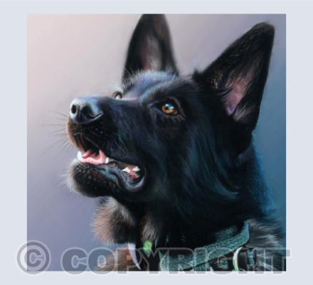 German Shepherd Painting