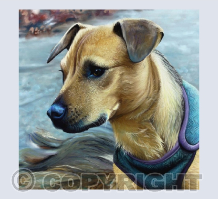 Patterdale Terrier Painting