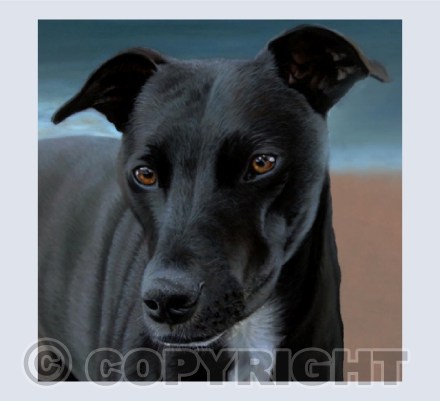 Lurcher Painting