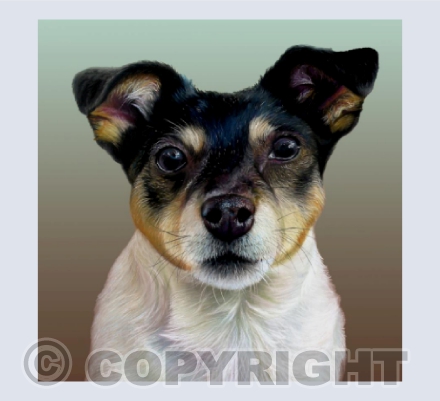 Jack Russell Terrier Painting