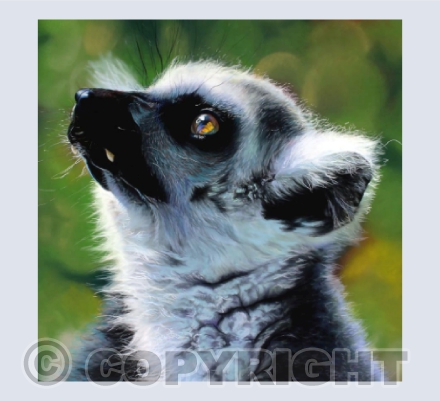 "Things Are Looking Up" - Lemur
