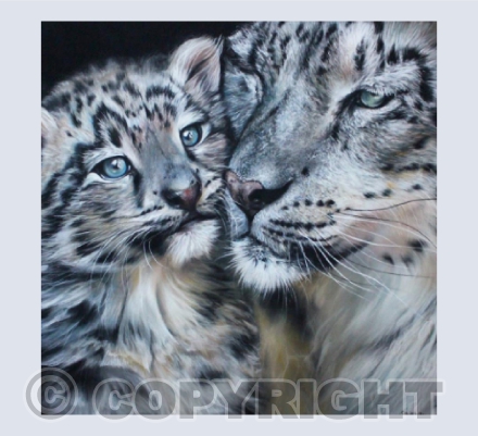 A Bond Like No Other - Snow Leopards