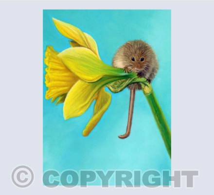 Daffodil Mouse - A Pastel Painting of a Harvest Mouse