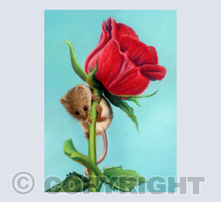 Rose Mouse - A Pastel Painting of a Harvest Mouse