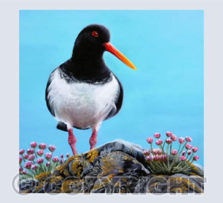 The Eye of the Catcher - A pastel painting of an Oyster Catcher