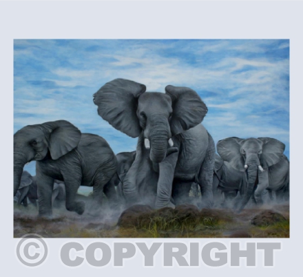 A Long Road Home - African Elephants