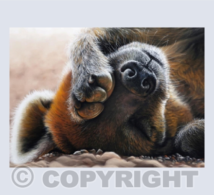 Afternoon Snooze - a Hyena pastel painting