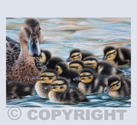 Mallard Brood - Painting of a Mallard Duck with Ducklings