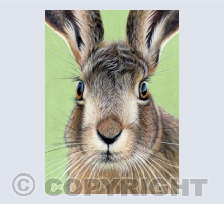Humphrey the Hare - Original Pastel Painting