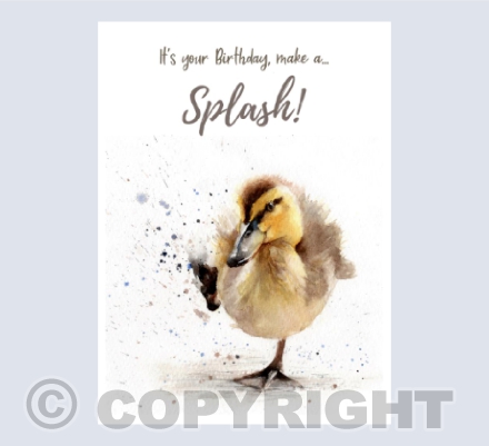 It's your Birthday - Make a Splash!