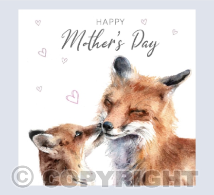 Foxes Kiss