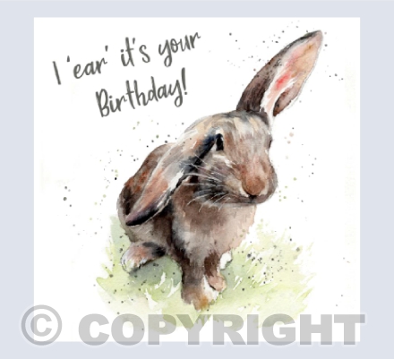 'Pebbles' Bunny Rabbit