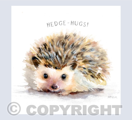 Hetty Hedgehog