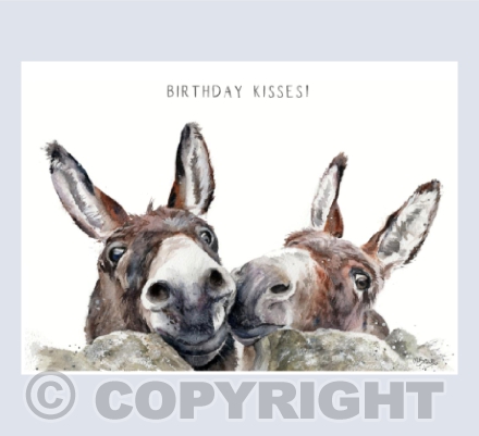 'Rubik & Rosie' Donkeys