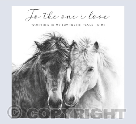Horse Love