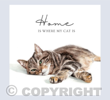 Home is where my cat is